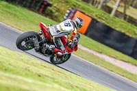 Oulton-Park-14th-March-2020;PJ-Motorsport-Photography-2020;anglesey;brands-hatch;cadwell-park;croft;donington-park;enduro-digital-images;event-digital-images;eventdigitalimages;mallory;no-limits;oulton-park;peter-wileman-photography;racing-digital-images;silverstone;snetterton;trackday-digital-images;trackday-photos;vmcc-banbury-run;welsh-2-day-enduro